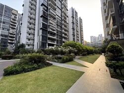 La Fiesta (D19), Condominium #613687631